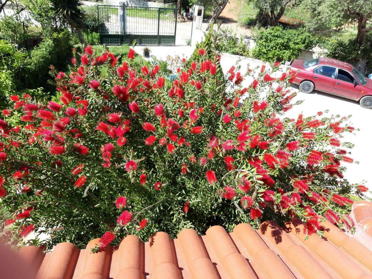 Vila Zogaj Ksamil Ngoại thất bức ảnh